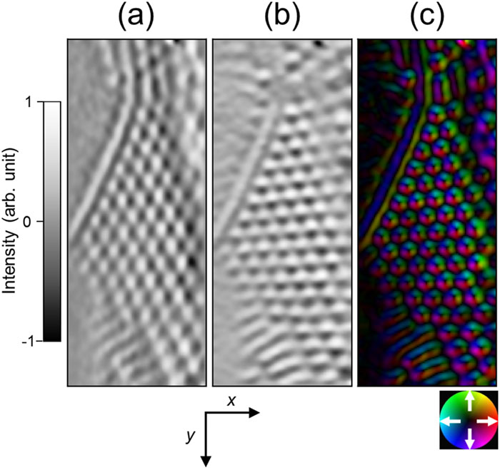 Analyzed image